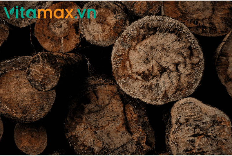 Nấm Linh chi bị mốc có dùng được không? Và cách xử lý