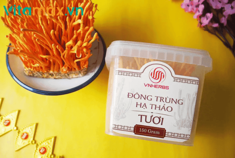 Vì Sao Bạn Nên Chọn Đông Trùng Hạ Thảo Hữu Cơ Phục Hồi Phổi?