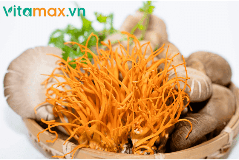 Sự Khác Nhau Của 2 Quá Trình Hình Thành Đông Trùng Hạ Thảo