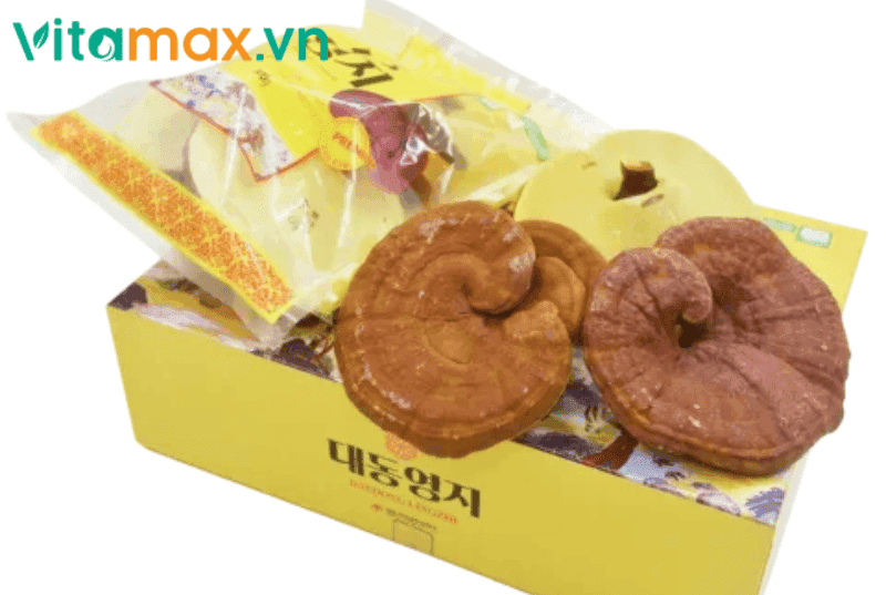 Uống Nấm Linh Chi Có Béo Không? Bí Mật Bất Ngờ