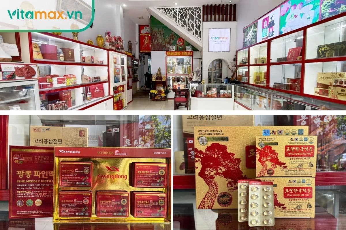 10 tác dụng của tinh dầu thông đỏ với sức khỏe 