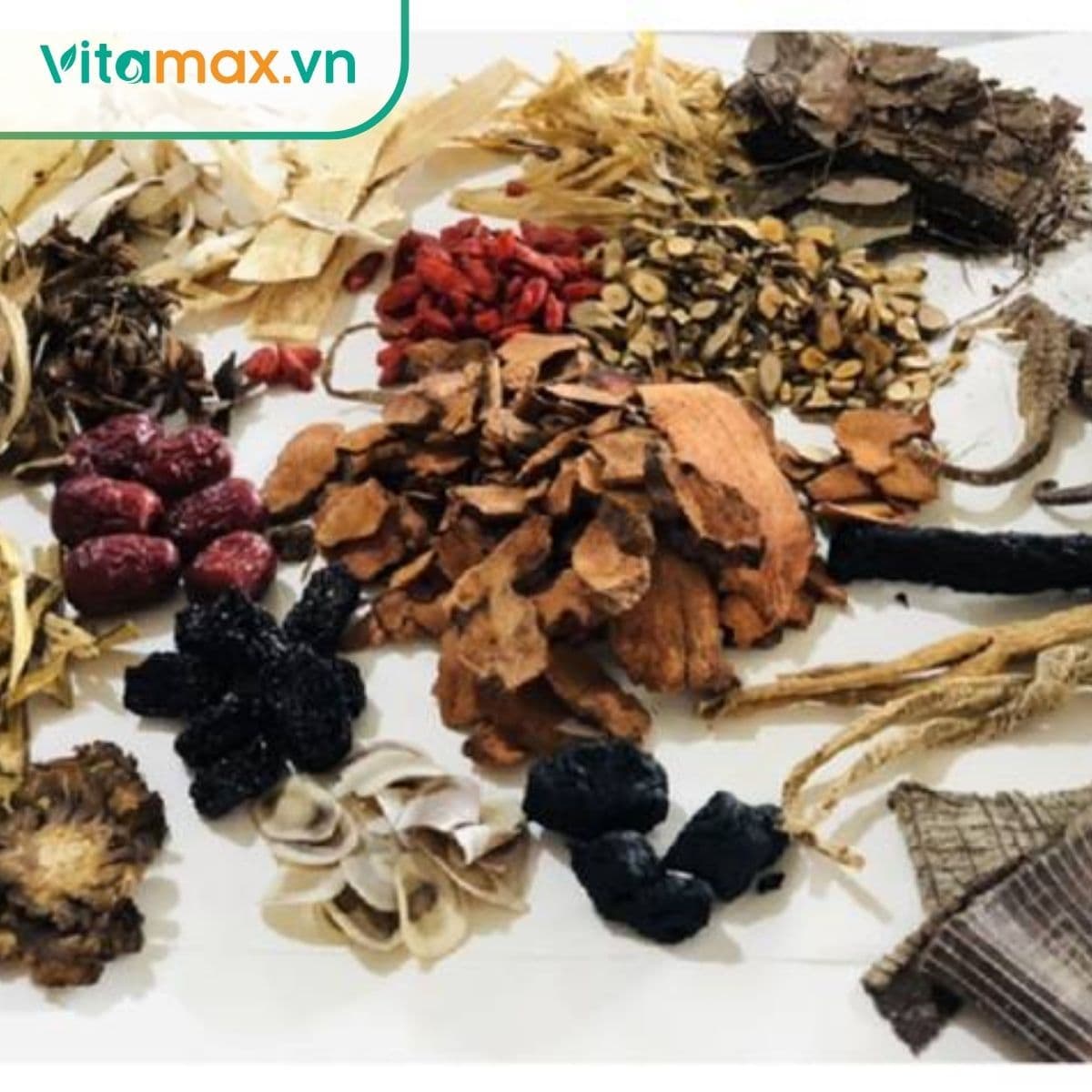 10 bài thuốc ngâm rượu bồi bổ sức khỏe dễ làm