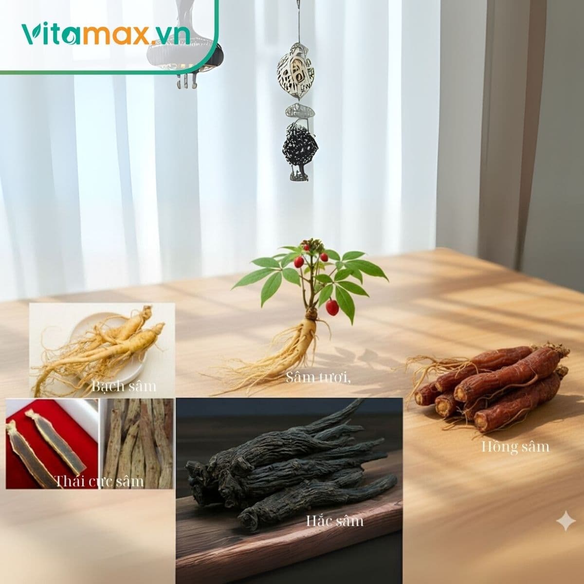 Tổng hợp các loại sâm Hàn Quốc: Thành phần,công dụng và bảng giá