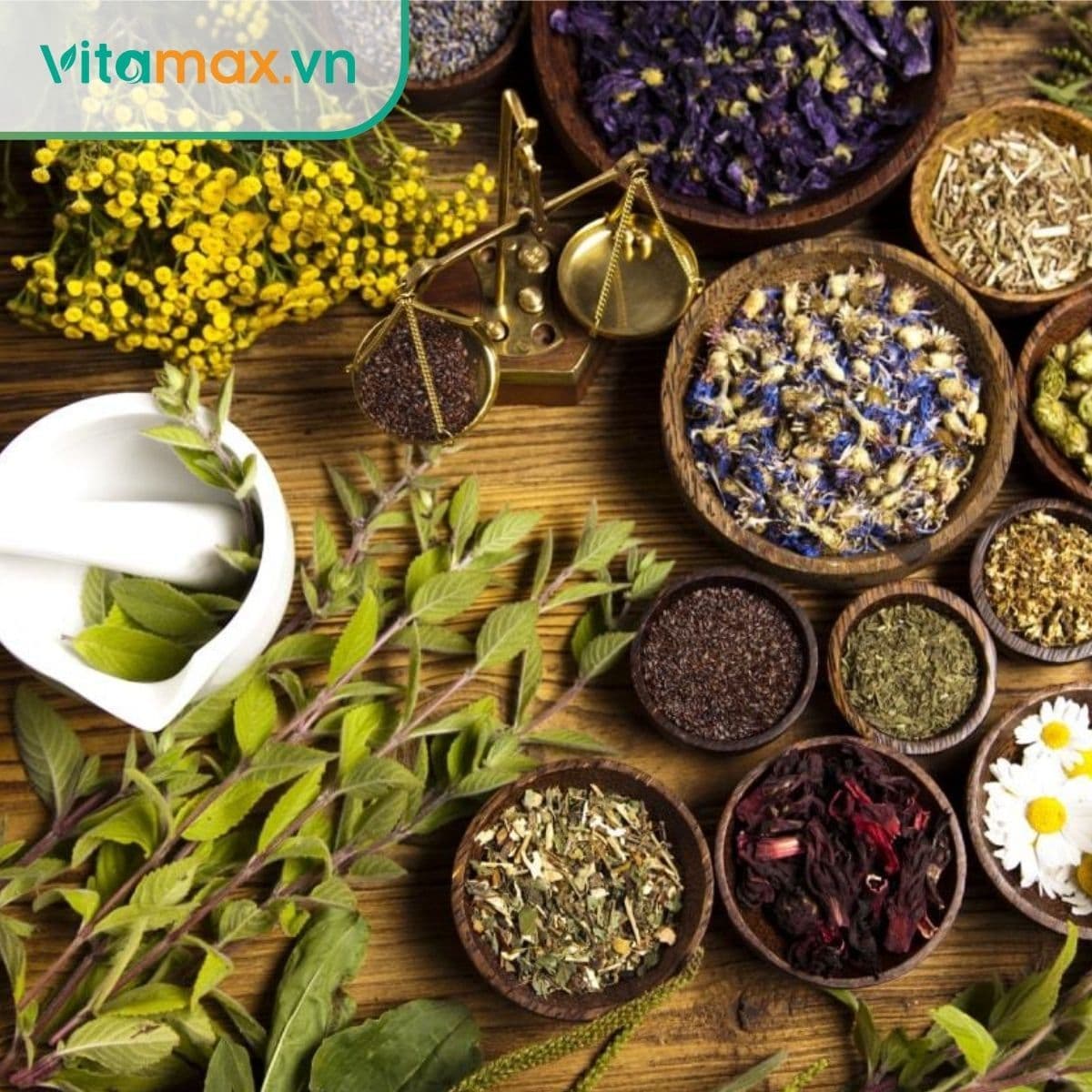 10+ Thảo dược đẹp da lành tính giúp da căng mịn trắng sáng