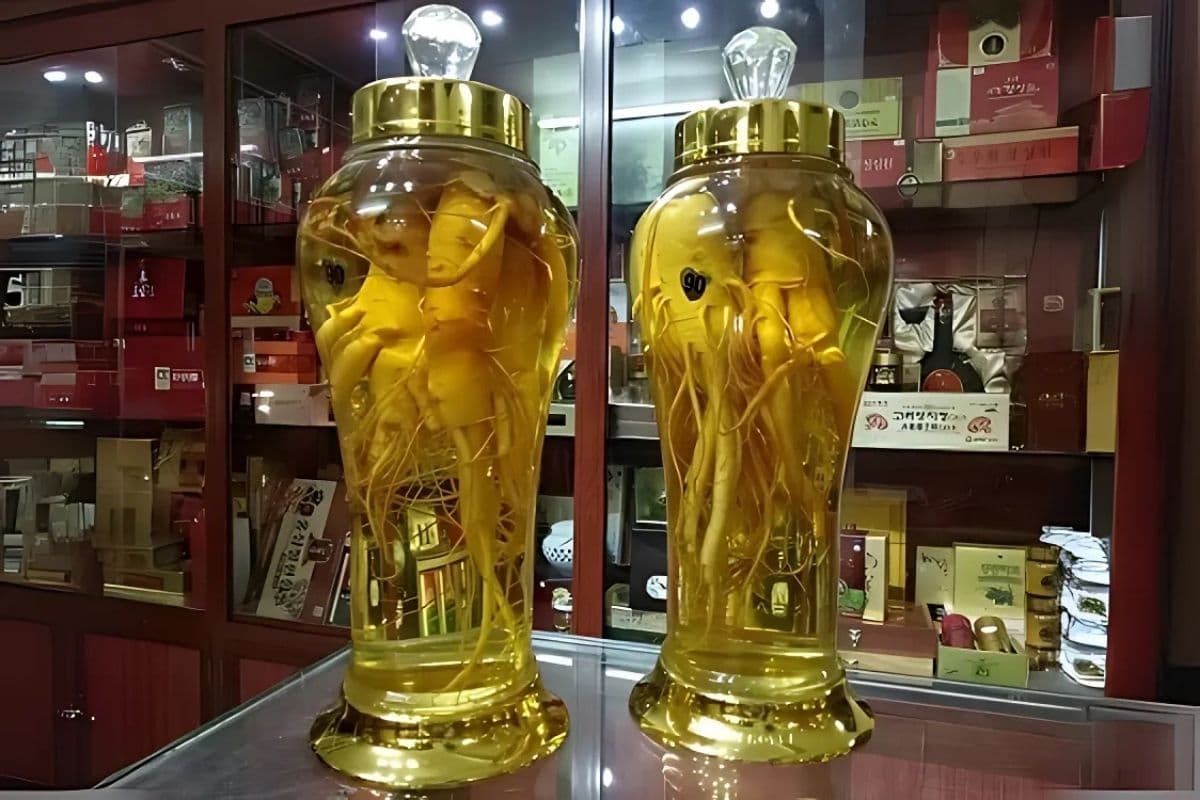 Cách ngâm rượu sâm hàn quốc giữ trọn dược tính tốt cho sức khỏe