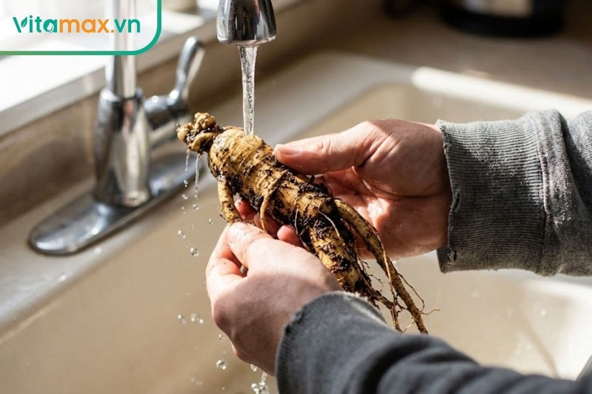 Cách rửa sâm tươi sạch bùn đất không gây bầm dập, đứt rễ
