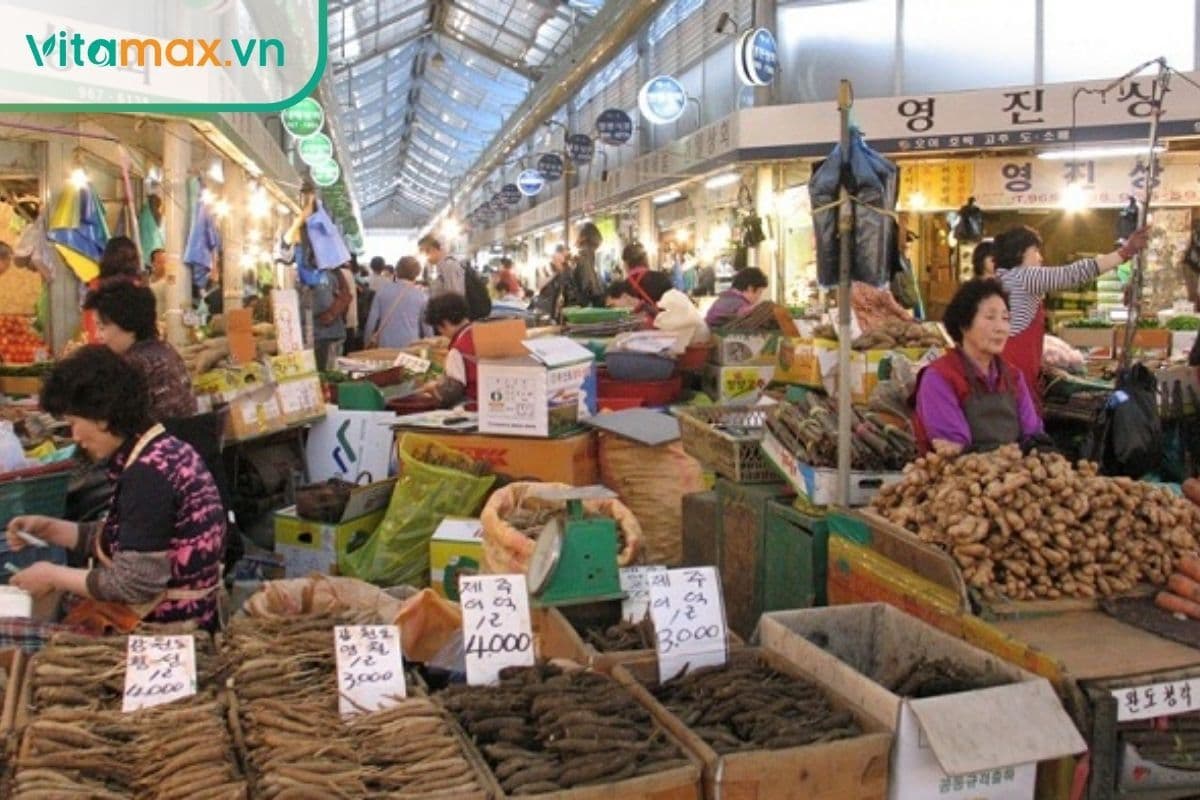 Kinh nghiệm mua sâm tại Hàn Quốc của người buôn lâu năm 