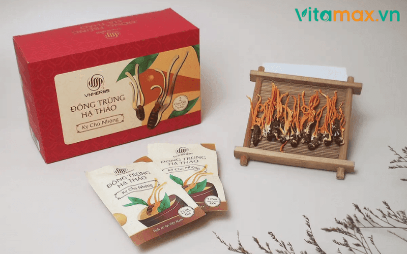 đông trùng hạ thảo chữa yếu sinh lý