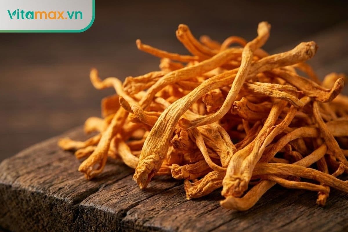Hướng dẫn cách dùng đông trùng hạ thảo khô bồi bổ sức khỏe
