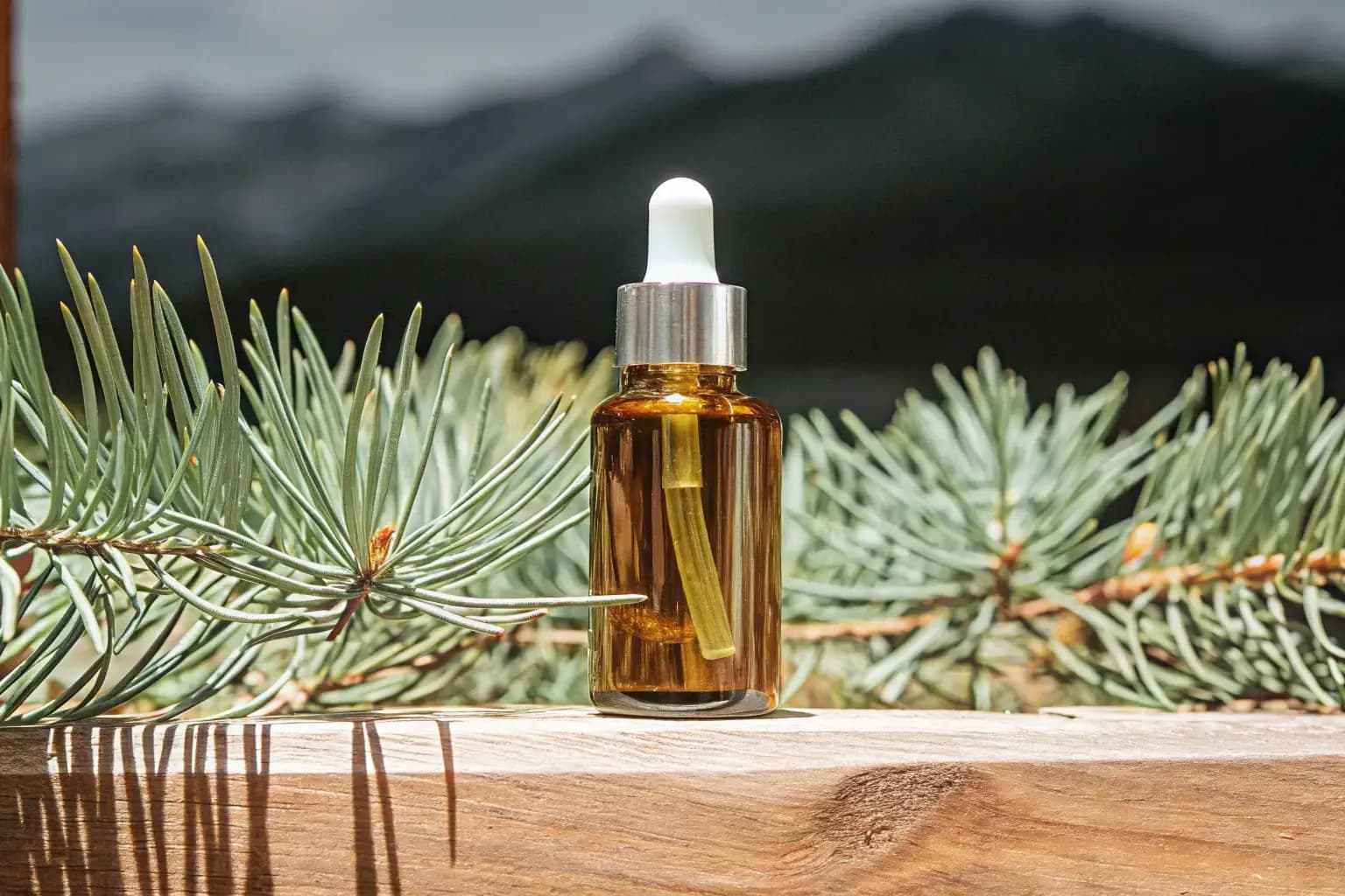 Cách sử dụng tinh dầu thông đỏ hiệu quả cho sức khỏe và sắc đẹp