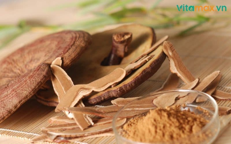 Nấm linh chi dùng cho lứa tuổi nào là tốt và hiệu quả nhất?