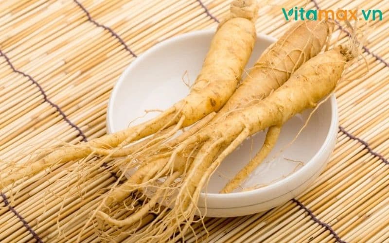 nhân sâm tốt cho sức khoẻ