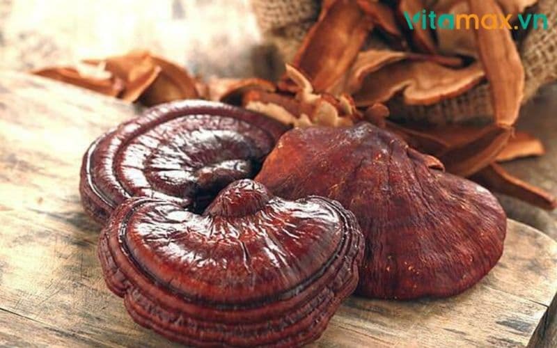 những người không nên dùng nấm linh chi