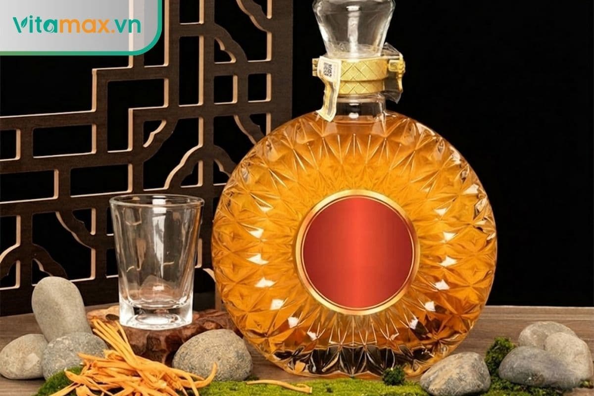 Cách sử dụng rượu đông trùng hạ thảo bồi bổ cơ thể