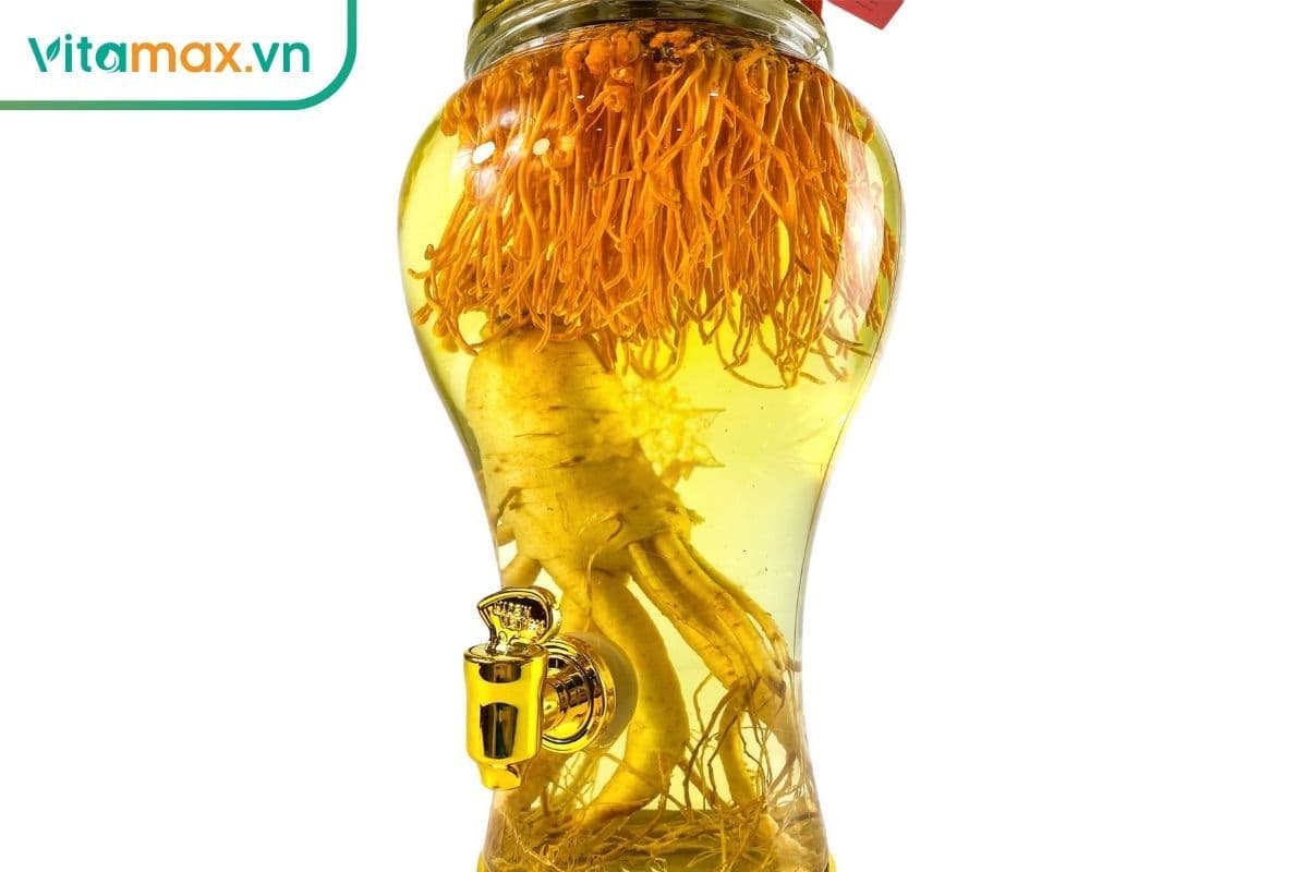 Công thức ngâm rượu sâm với đông trùng hạ thảo chuẩn đông y