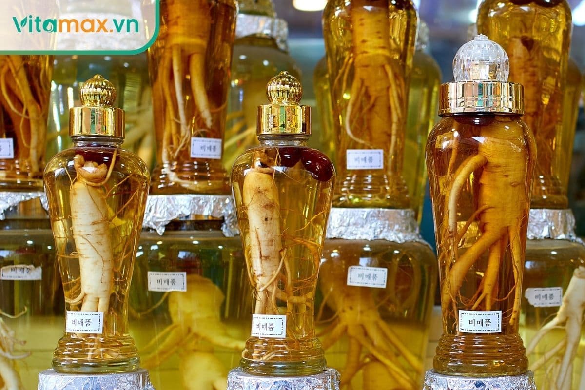 14 tác dụng của sâm tươi Hàn Quốc ngâm rượu với sức khỏe