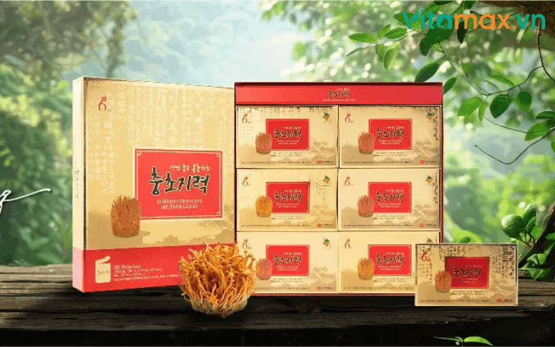 7 Tác Dụng Của Đông Trùng Hạ Thảo Với Đàn Ông