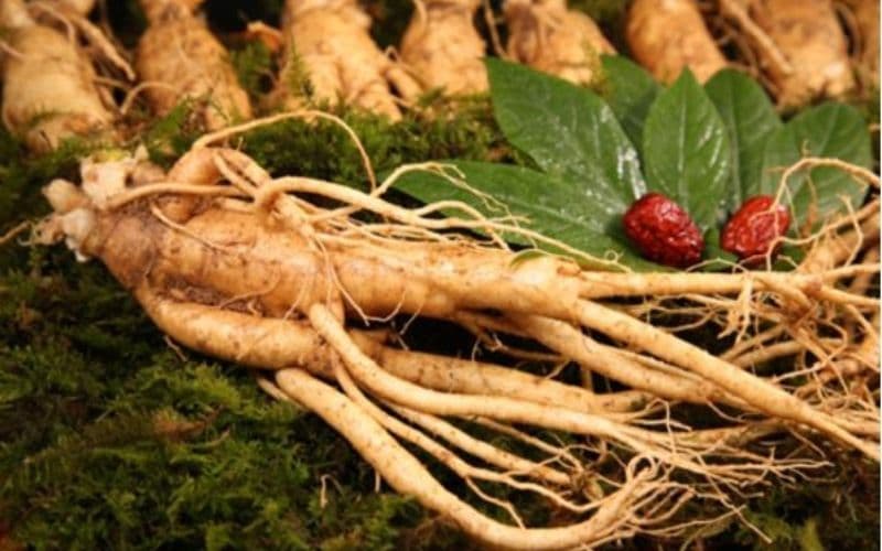 Top 5 Tác Dụng Của Nhân Sâm Với Da Mặt Bạn Không Ngờ Tới