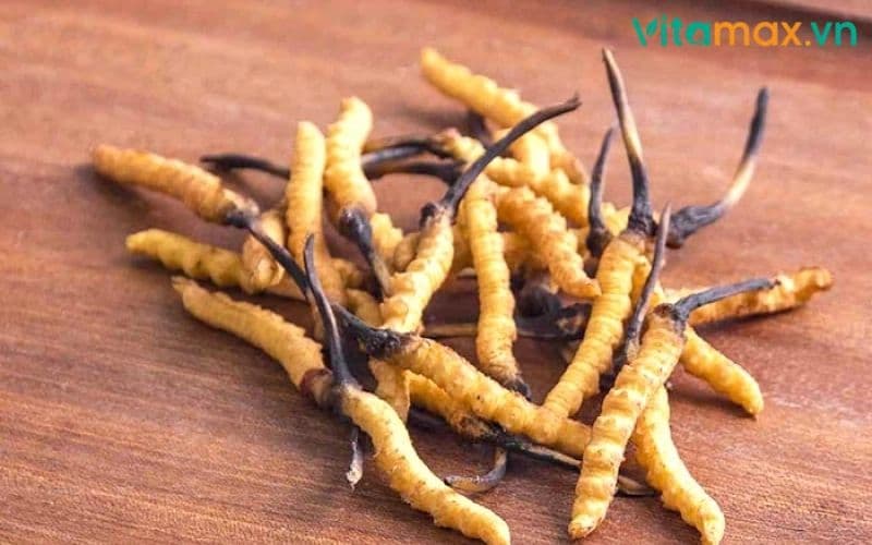 tác dụng phụ của nấm đông trùng hạ thảo