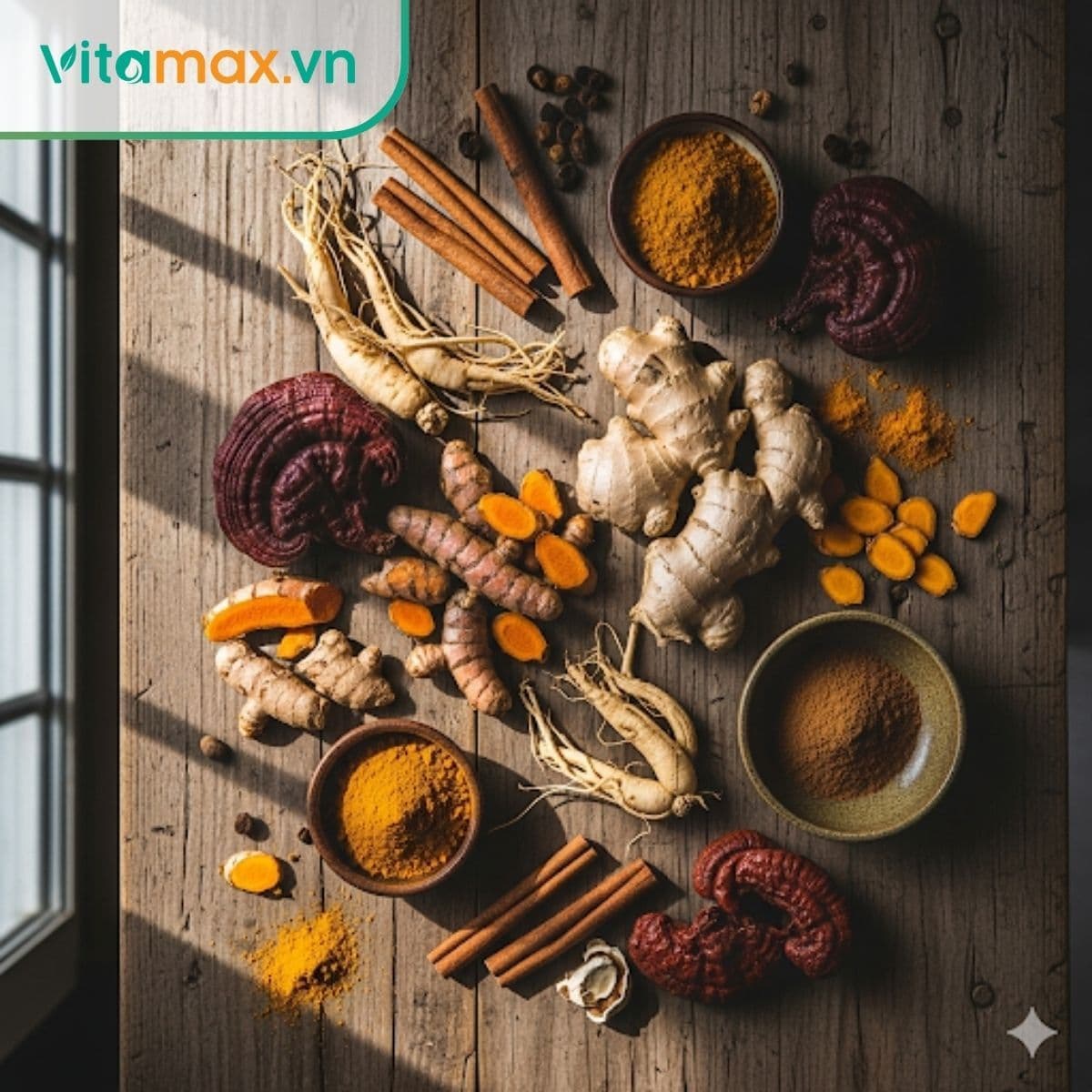 17 thảo dược thiên nhiên tốt cho sức khỏe dễ tìm dễ mua