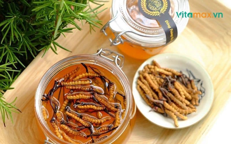 Tỷ lệ ngâm đông trùng hạ thảo mật ong giữ trọn dưỡng chất