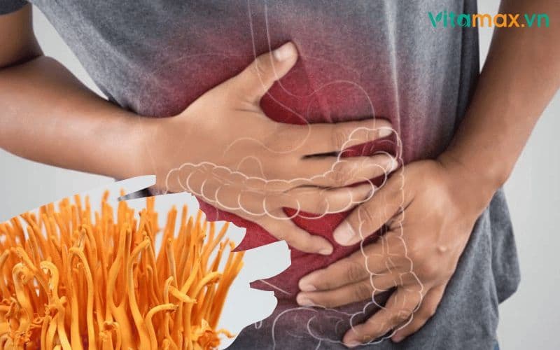 Tại sao uống đông trùng hạ thảo bị tiêu chảy? Cách khắc phục