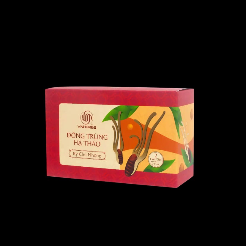 Hình Con Đông Trùng Hạ Thảo Ký Chủ Nhộng Vnherbs hộp giấy 60 con 2