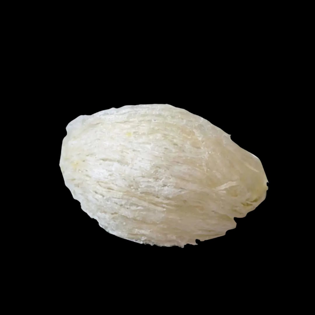 Hình Tổ yến sào nguyên chất sạch lông NutriNest 3