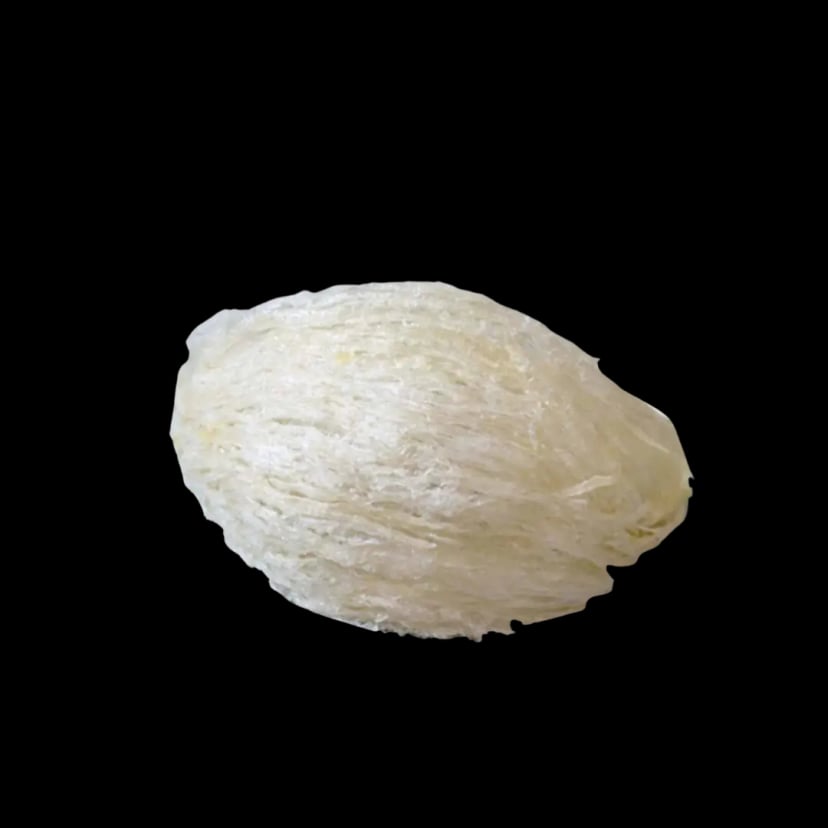 Hình Tổ yến sào sạch lông NutriNest loại Đặc Biệt 3