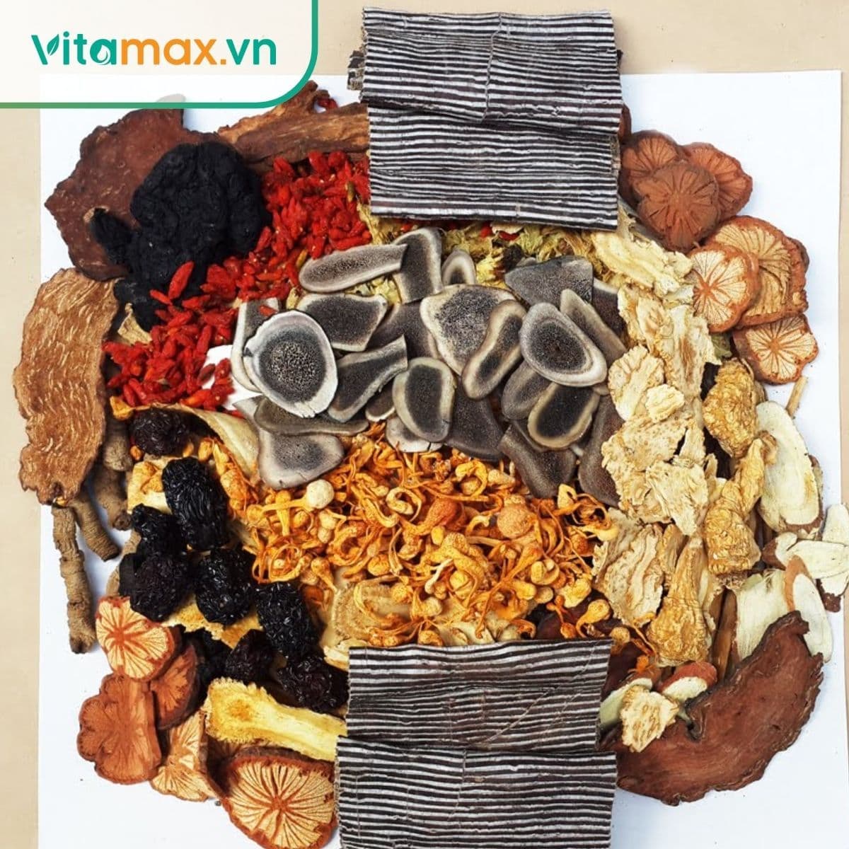 14 cây thuốc nam trị yếu sinh lý trong y học cổ truyền