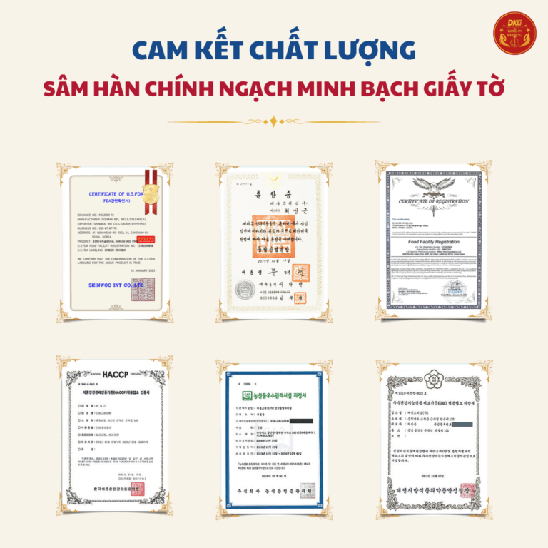 Hình Set Quà Tặng Daedong - DKG.10 3