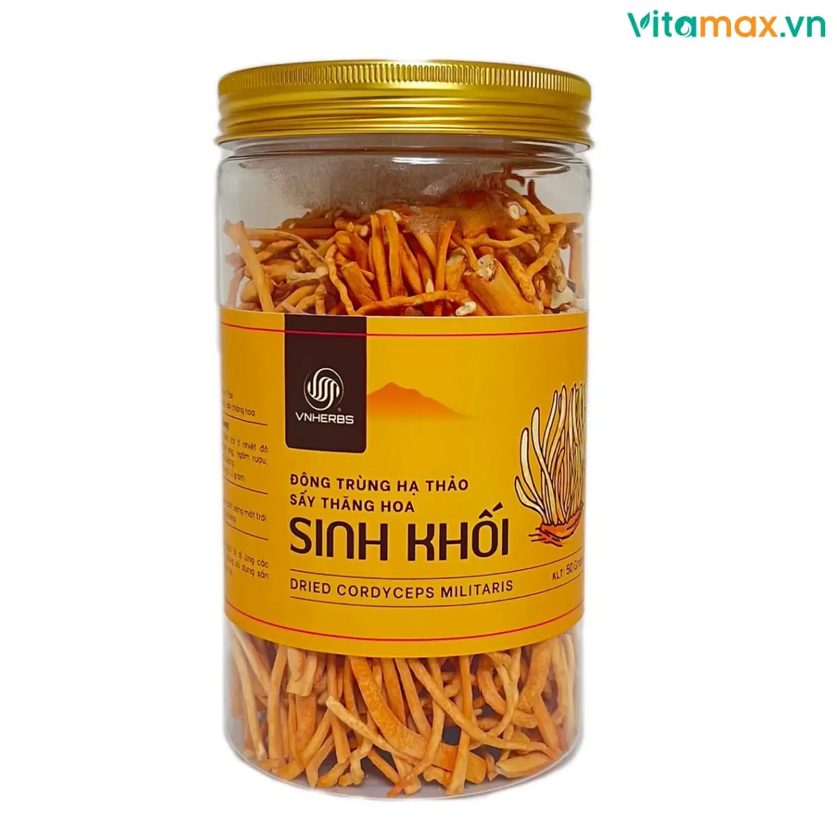 Hình Đông trùng hạ thảo sấy thăng hoa Vnherbs lọ 50g - loại 2 1